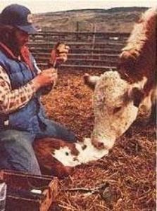 Get Back to the Land and Become a Cowboy Image